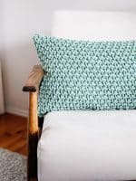 Crochet Aloe Vera Cushion